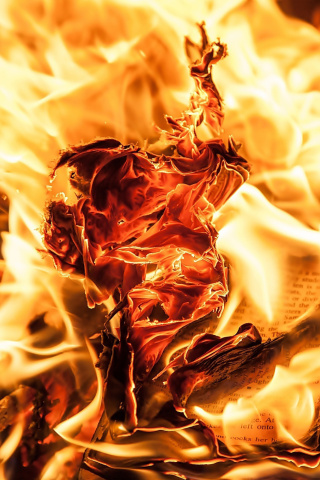 Burn and flames wallpaper 320x480