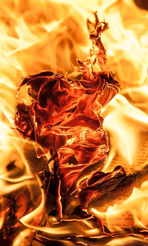 Das Burn and flames Wallpaper 480x800