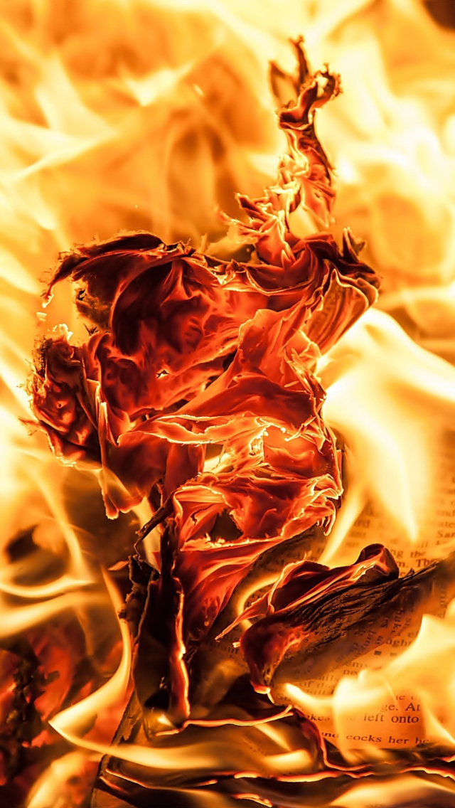 Burn and flames wallpaper 640x1136