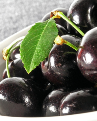 Kostenloses Black Cherries Wallpaper für HTC Pure