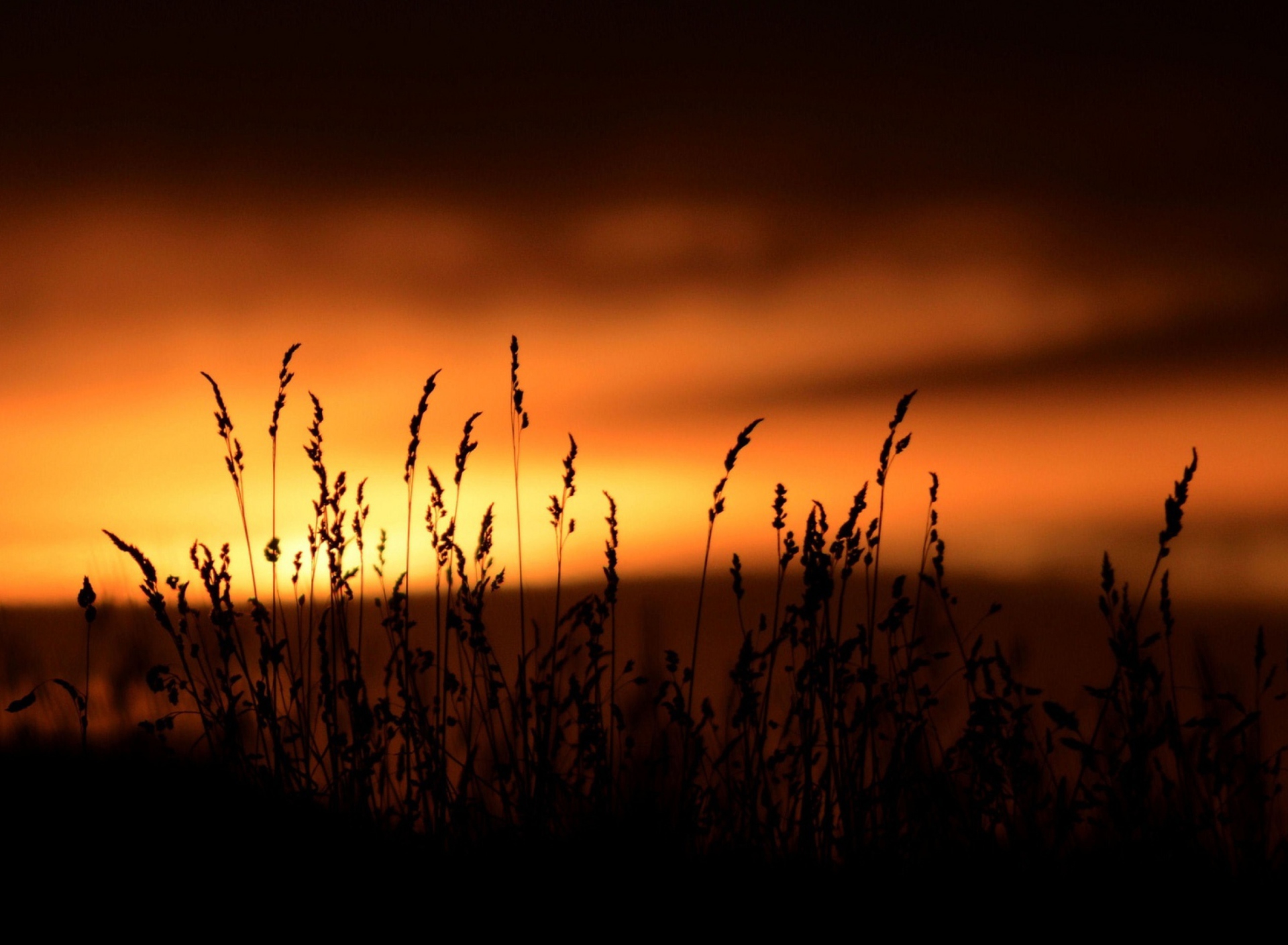 Sunset Silhouettes screenshot #1 1920x1408