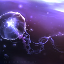 Underwater Jellyfish wallpaper 208x208