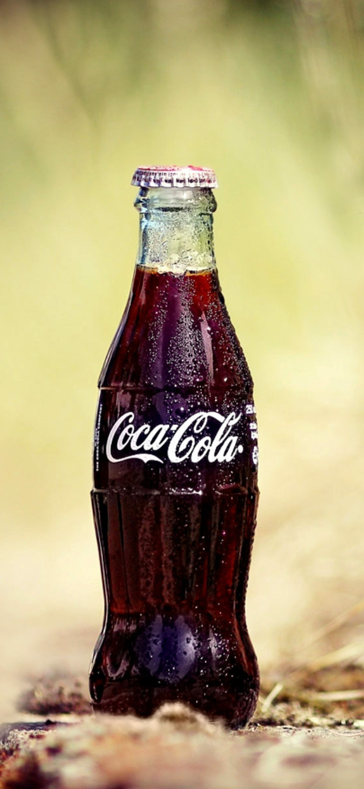 Coca Cola Soft Drink screenshot #1 1170x2532