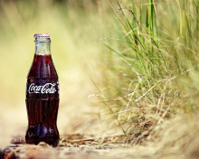 Coca Cola Soft Drink screenshot #1 220x176