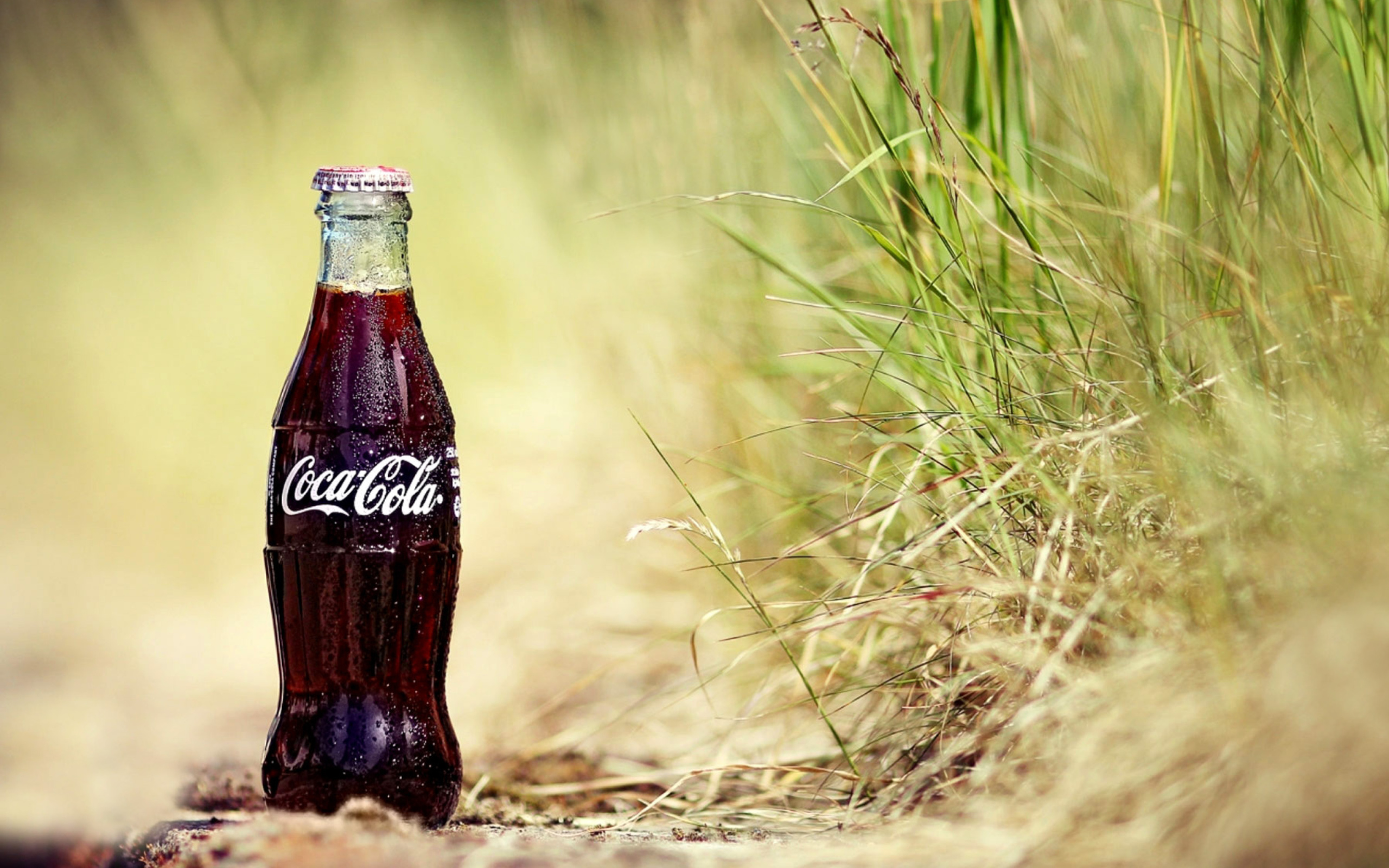 Coca Cola Soft Drink wallpaper 2560x1600