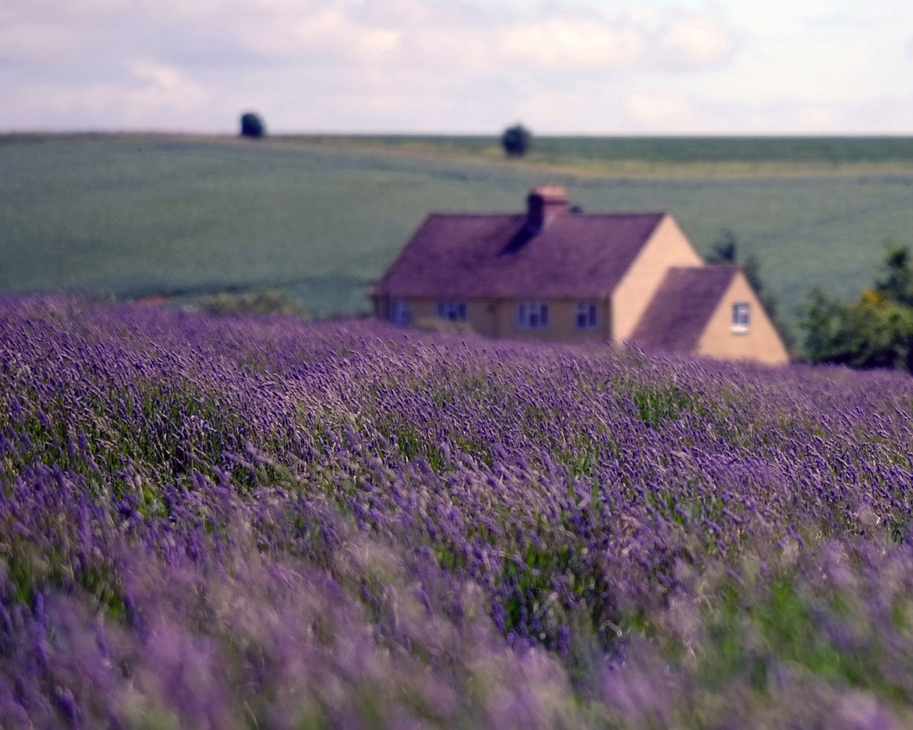 English Landscape wallpaper 1280x1024