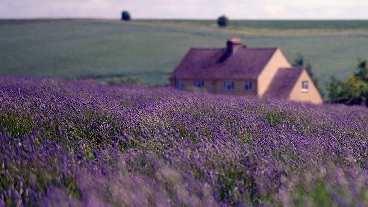 English Landscape screenshot #1 1280x720