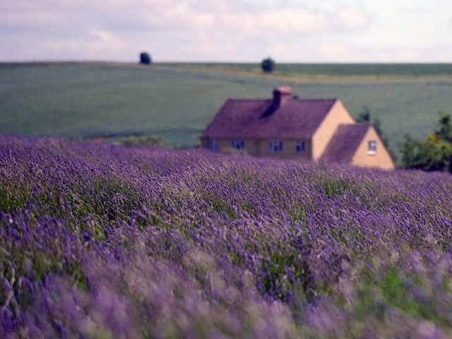 English Landscape screenshot #1 640x480