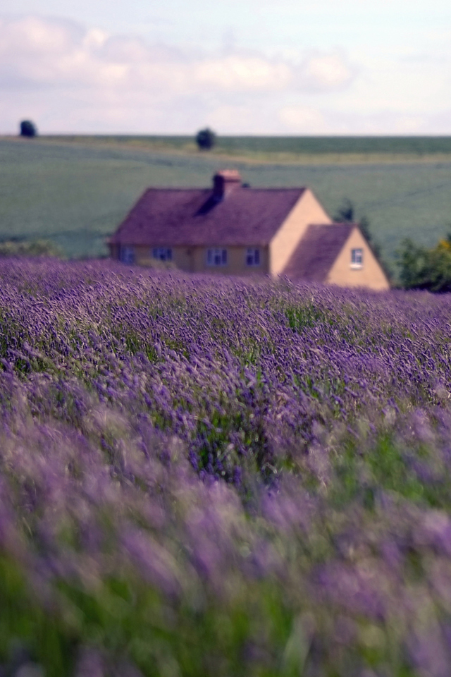 Fondo de pantalla English Landscape 640x960