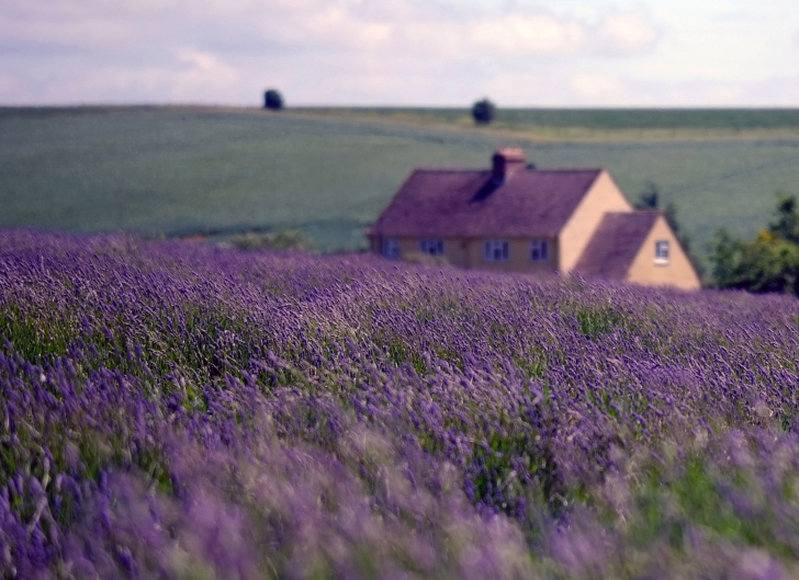 Sfondi English Landscape