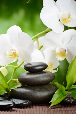 Spa Orchid wallpaper 320x480