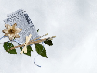 Newspaper, Brushes And Flower wallpaper 320x240