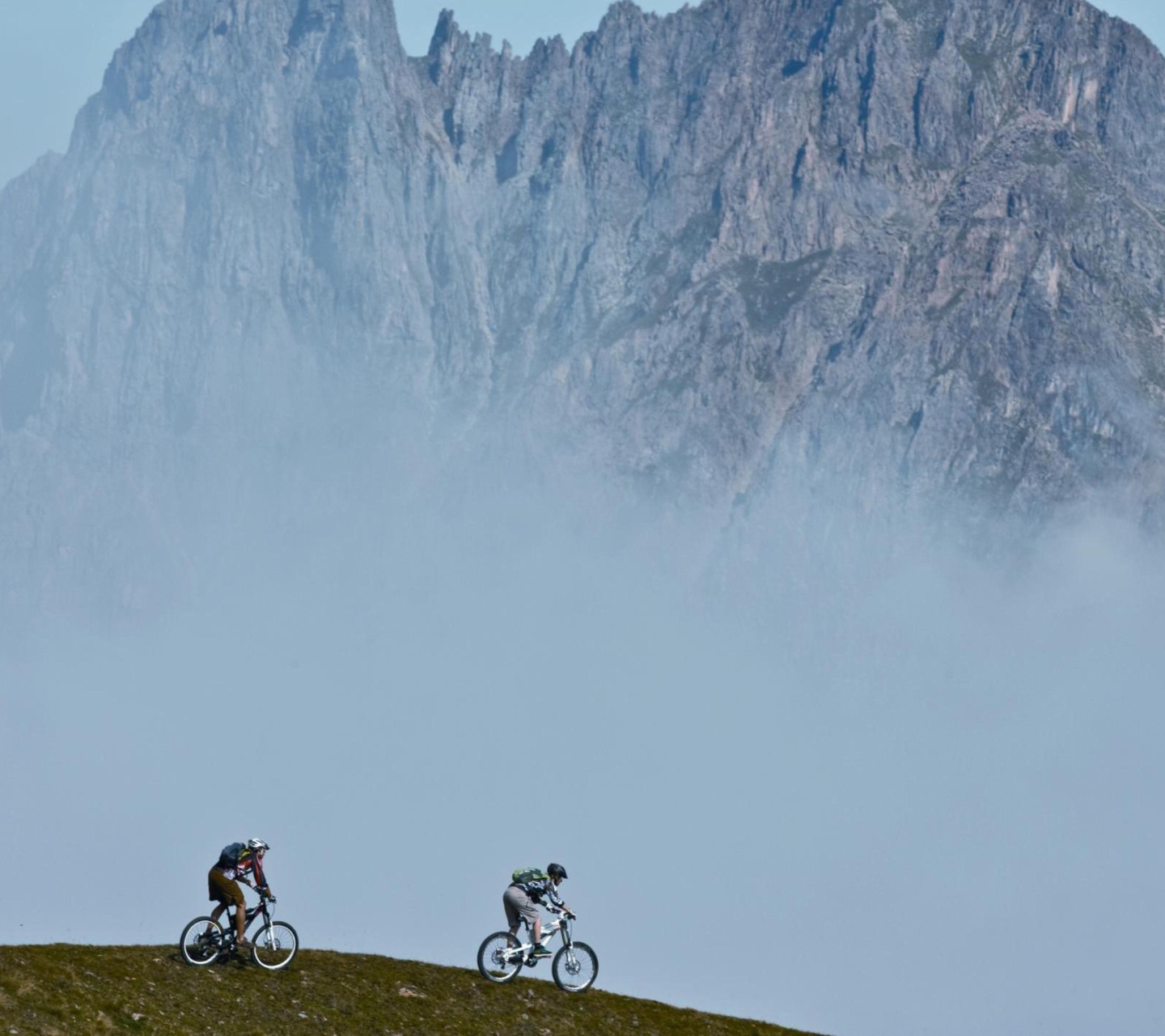 Обои Bicycle Riding In Alps Mountains 1440x1280