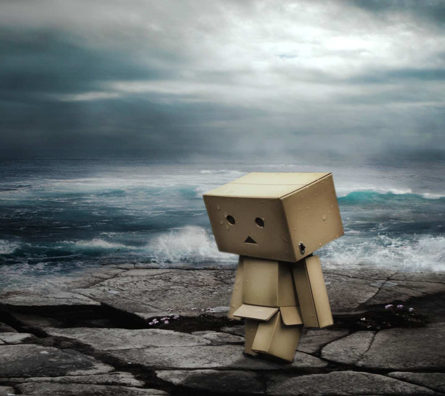 Fondo de pantalla Danbo On Ocean Coast 1440x1280