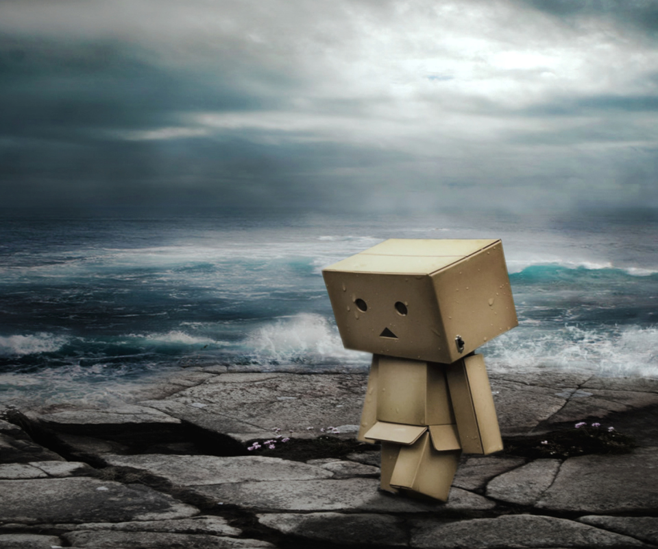 Fondo de pantalla Danbo On Ocean Coast 960x800