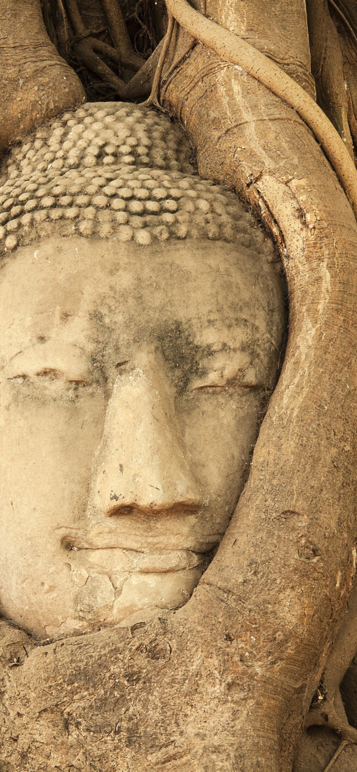 Sfondi Wooden Buddha In Thailand 1170x2532
