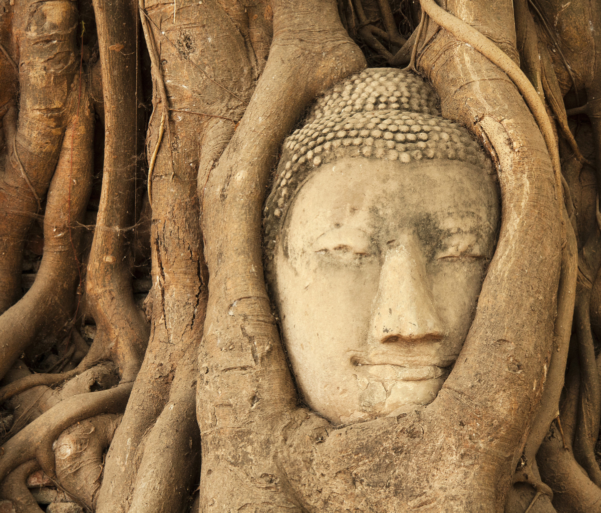 Wooden Buddha In Thailand wallpaper 1200x1024
