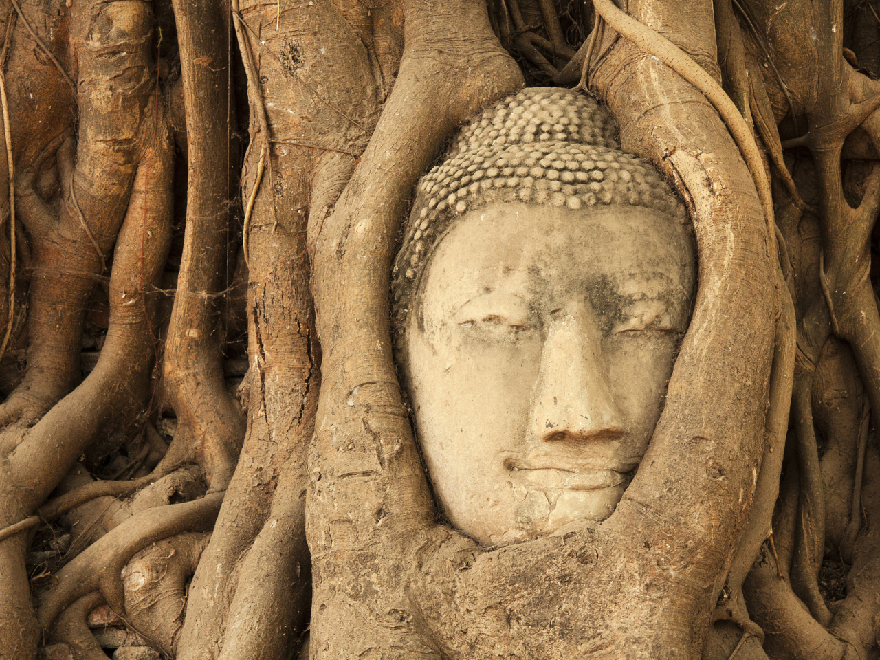 Fondo de pantalla Wooden Buddha In Thailand 1280x960