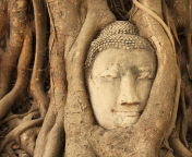 Wooden Buddha In Thailand wallpaper 176x144