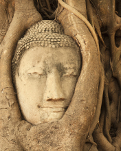 Das Wooden Buddha In Thailand Wallpaper 176x220