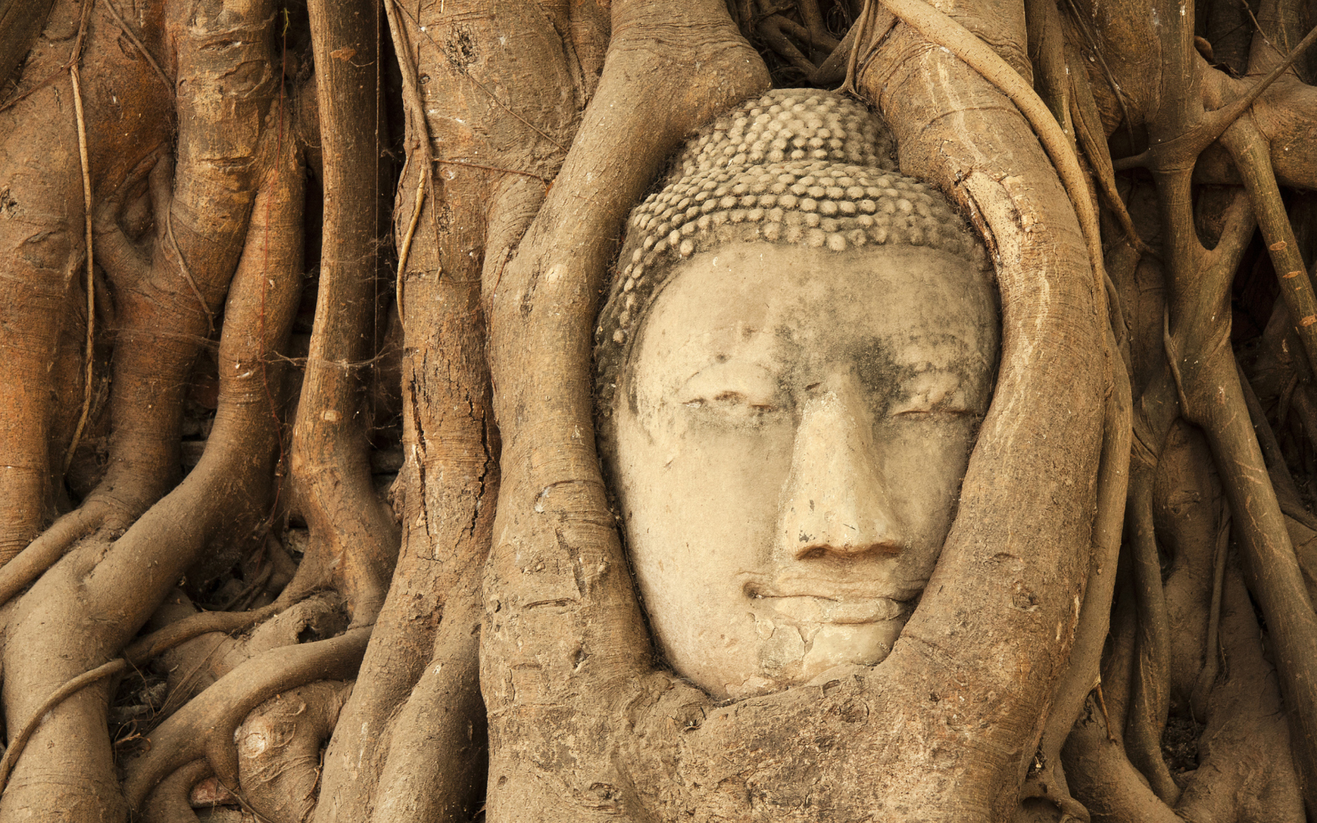 Screenshot №1 pro téma Wooden Buddha In Thailand 1920x1200