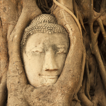 Wooden Buddha In Thailand wallpaper 208x208