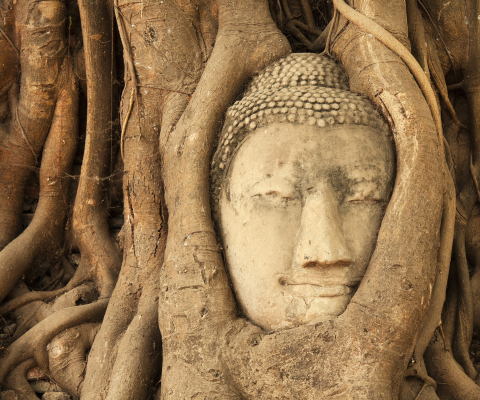 Fondo de pantalla Wooden Buddha In Thailand 480x400