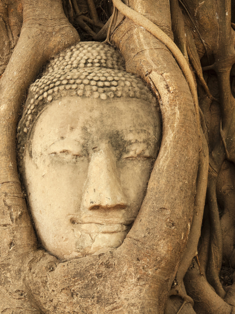 Das Wooden Buddha In Thailand Wallpaper 480x640