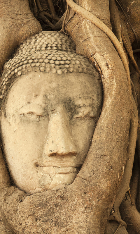 Wooden Buddha In Thailand wallpaper 480x800