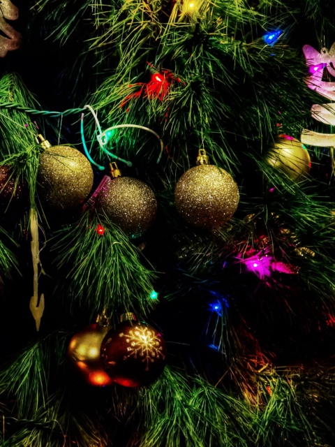 Fondo de pantalla Christmas Tree 480x640