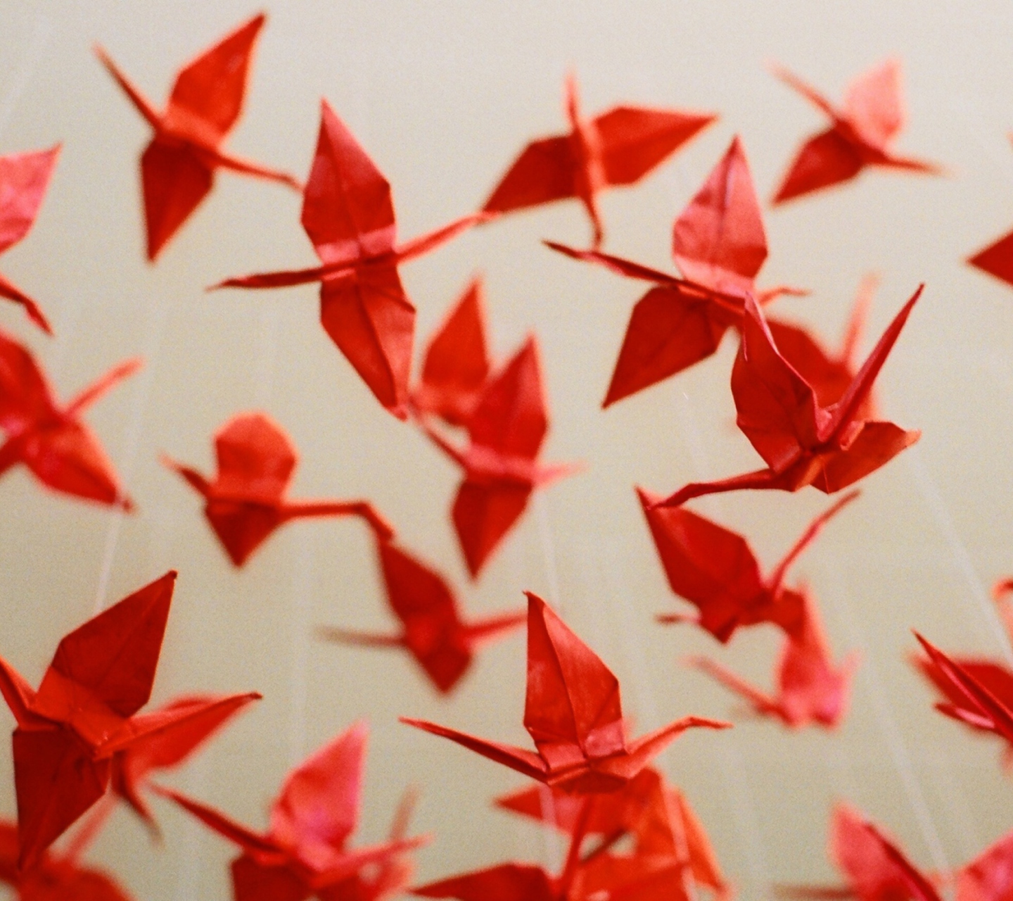 Das Origami Wallpaper 1440x1280
