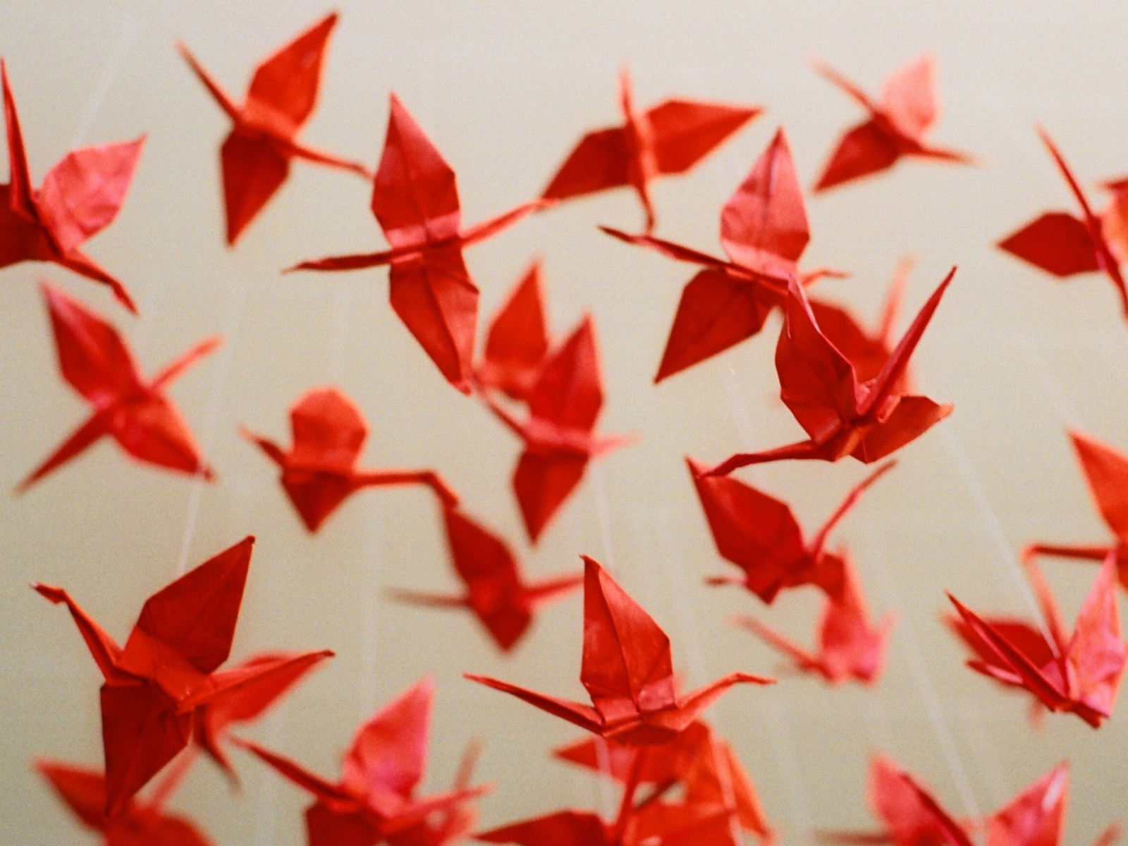 Das Origami Wallpaper 1600x1200