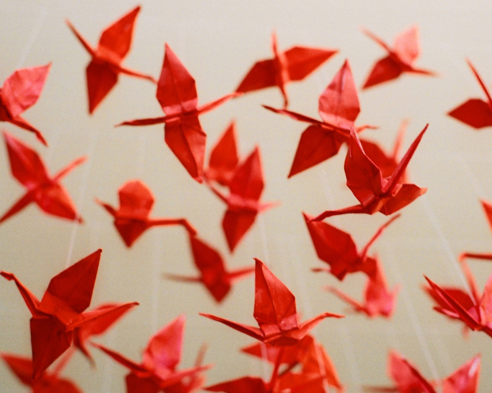 Das Origami Wallpaper 1600x1280