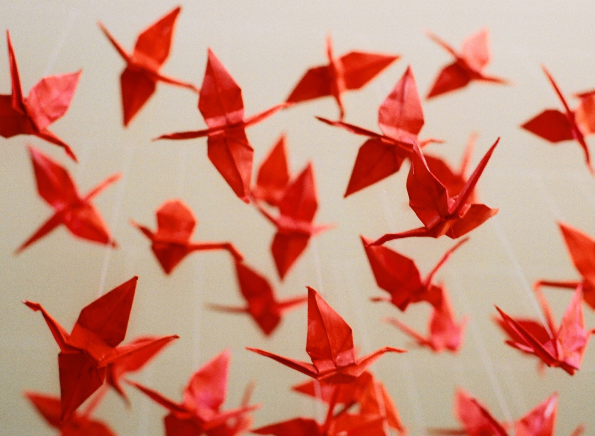 Das Origami Wallpaper 1920x1408