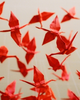 Origami - Obrázkek zdarma pro iPhone 4S
