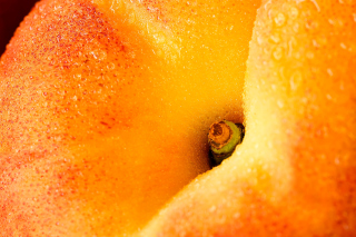Peach Picture for Android, iPhone and iPad