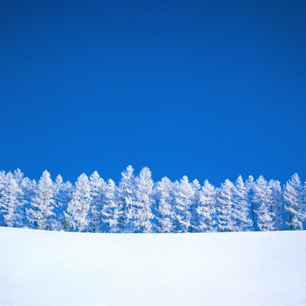 Das Winter Snow Wallpaper 1024x1024