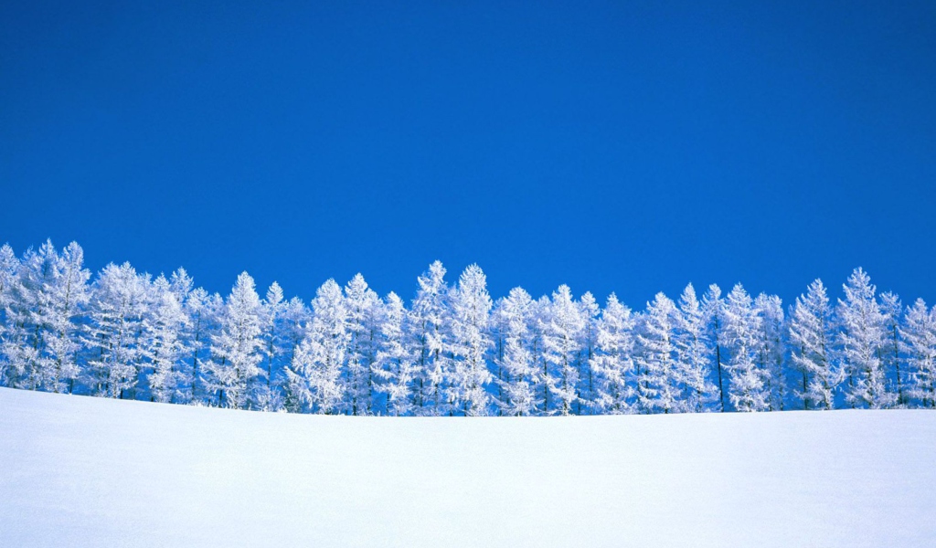 Das Winter Snow Wallpaper 1024x600