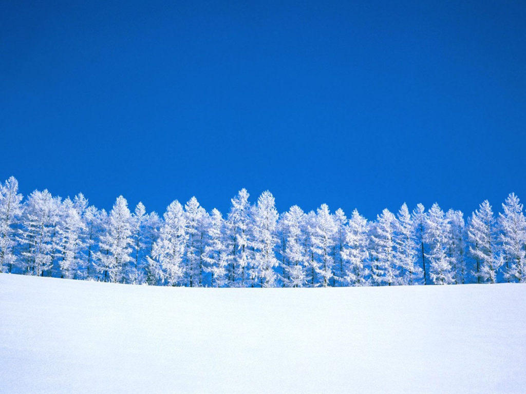 Das Winter Snow Wallpaper 1024x768