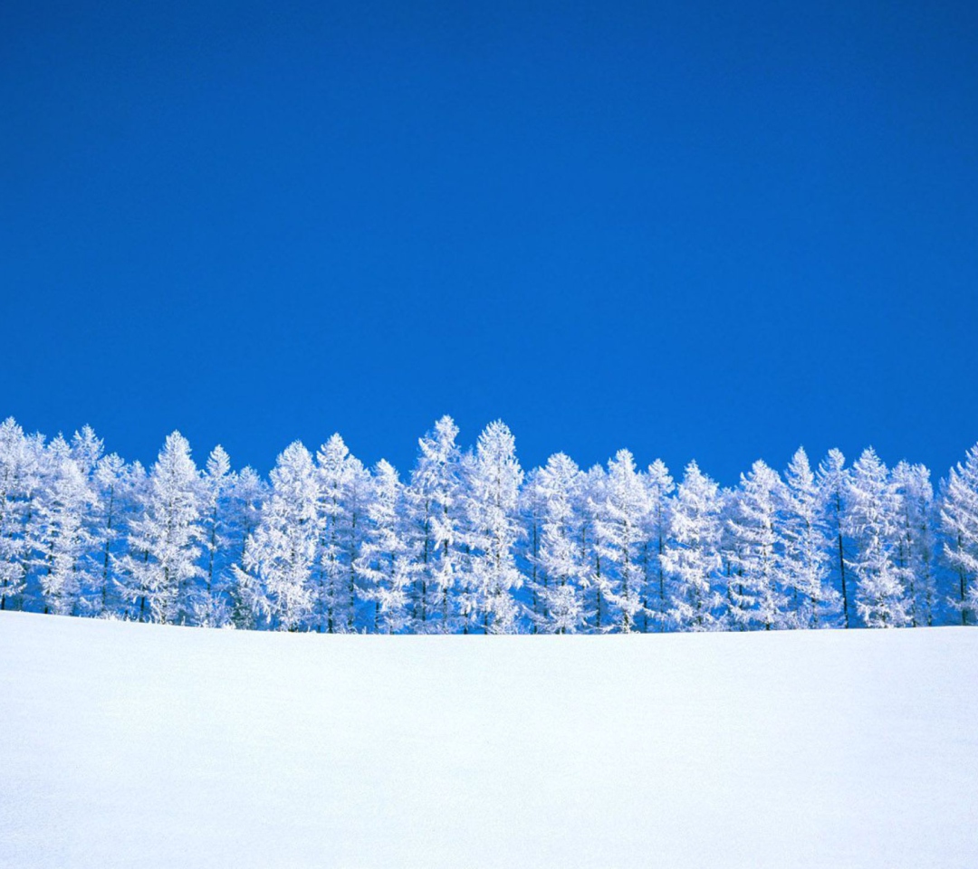 Sfondi Winter Snow 1080x960