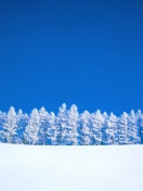 Обои Winter Snow 132x176