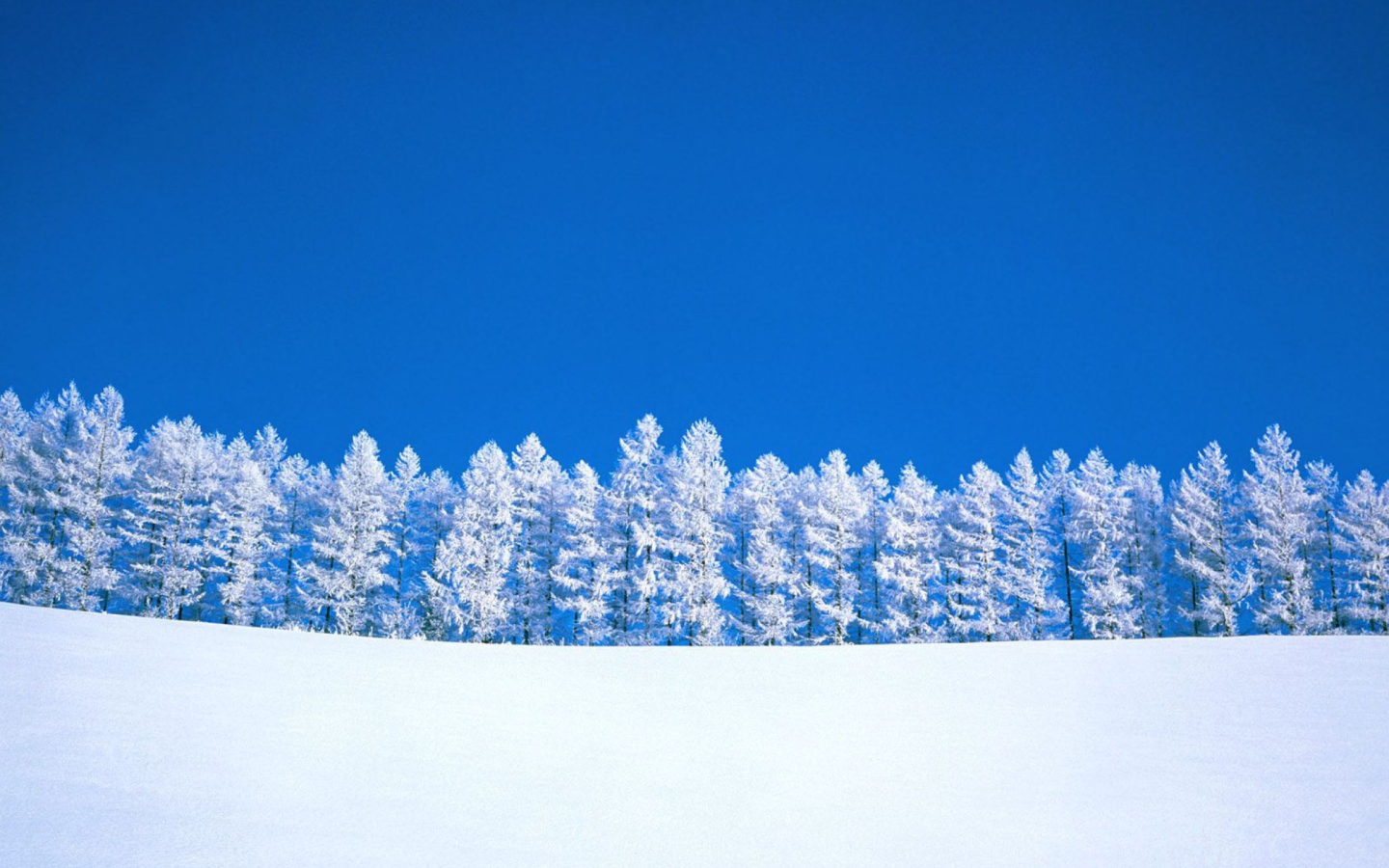 Обои Winter Snow 1440x900