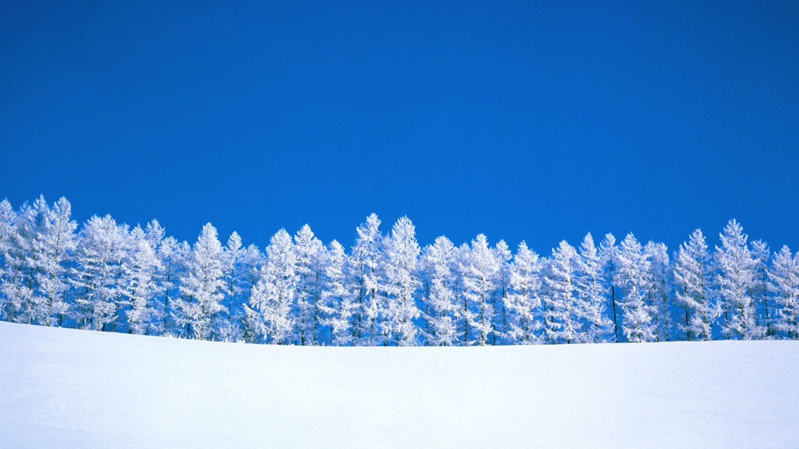 Winter Snow wallpaper 1600x900