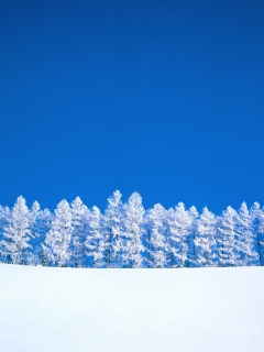 Screenshot №1 pro téma Winter Snow 240x320