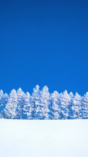 Das Winter Snow Wallpaper 360x640