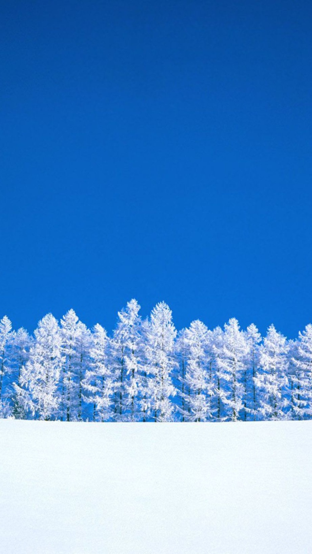 Winter Snow wallpaper 640x1136
