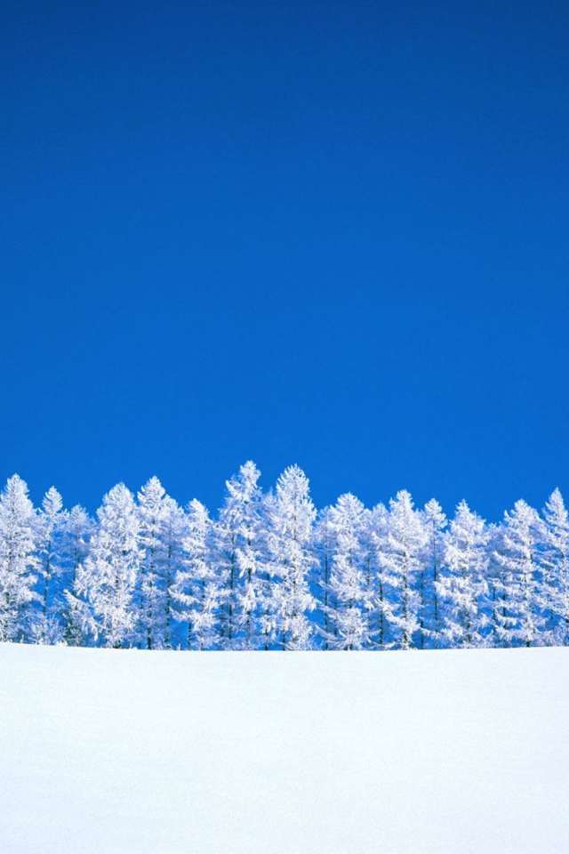 Das Winter Snow Wallpaper 640x960