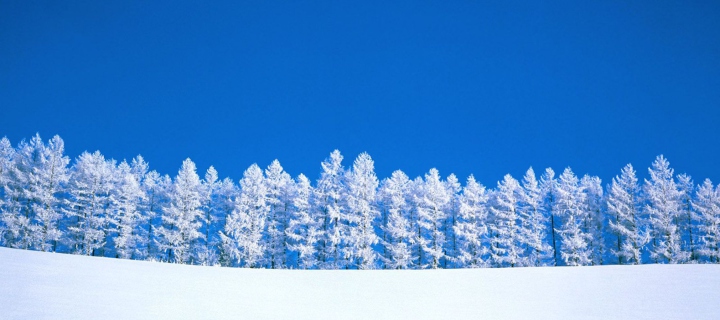 Fondo de pantalla Winter Snow 720x320