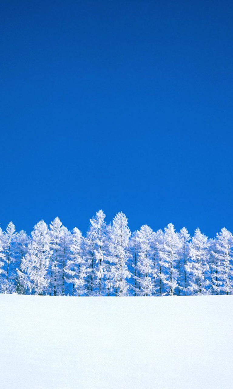 Das Winter Snow Wallpaper 768x1280