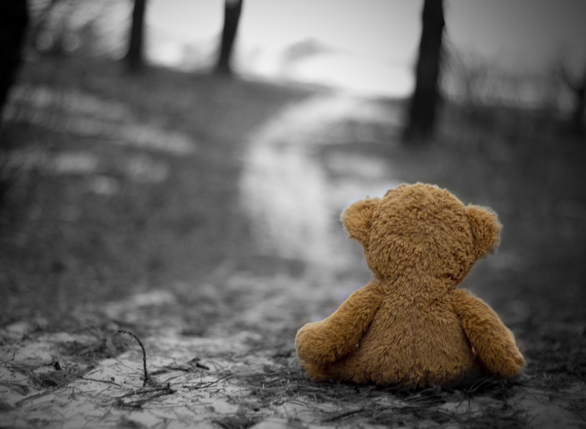 Fondo de pantalla Lost Teddy Bear 1920x1408